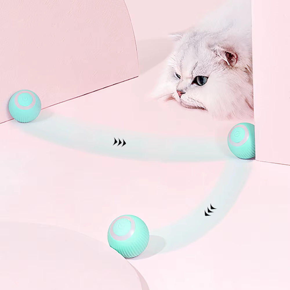 Automatic Ball For Cats